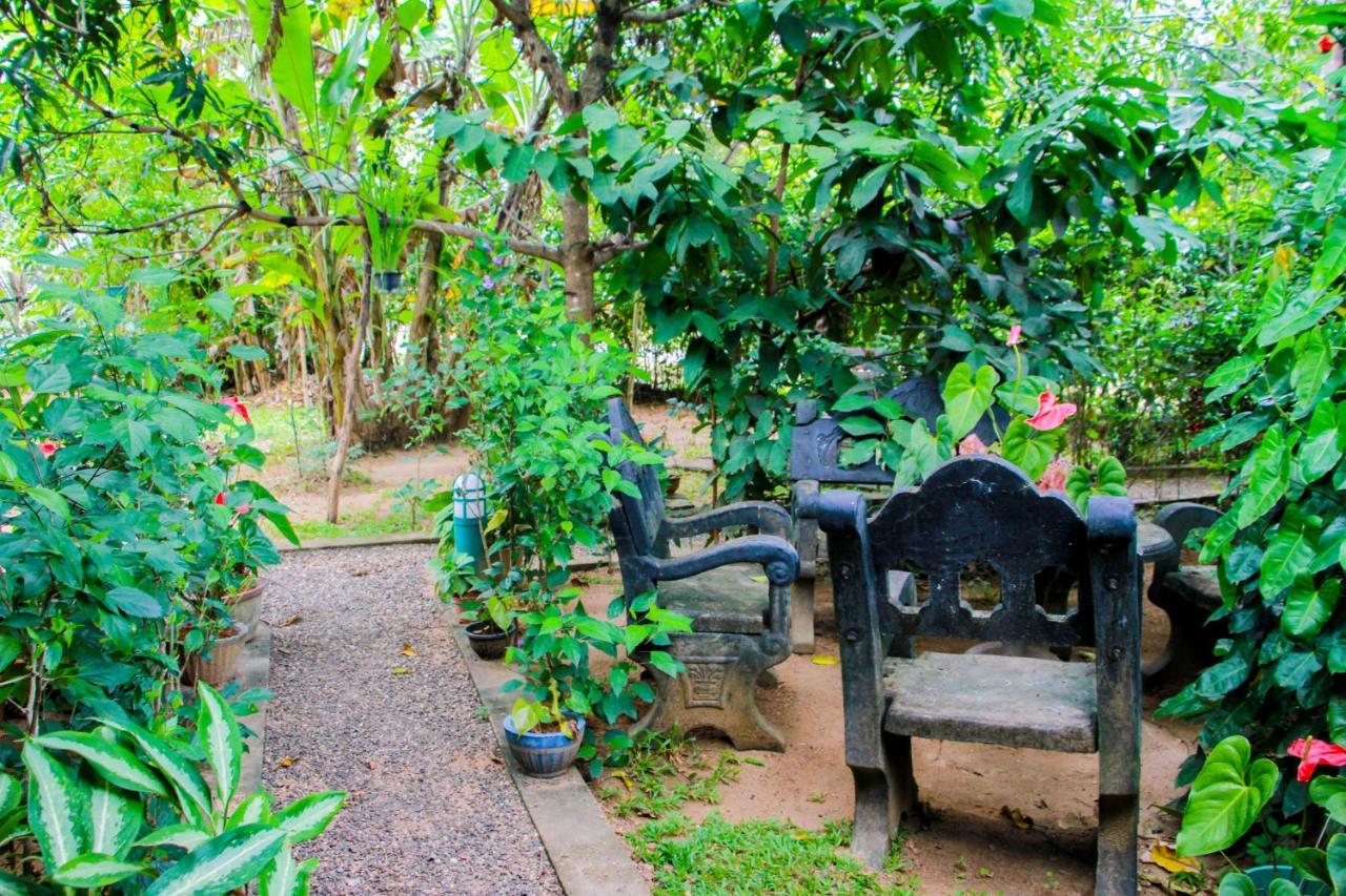 Galaxy View Homestay Сигирия Экстерьер фото